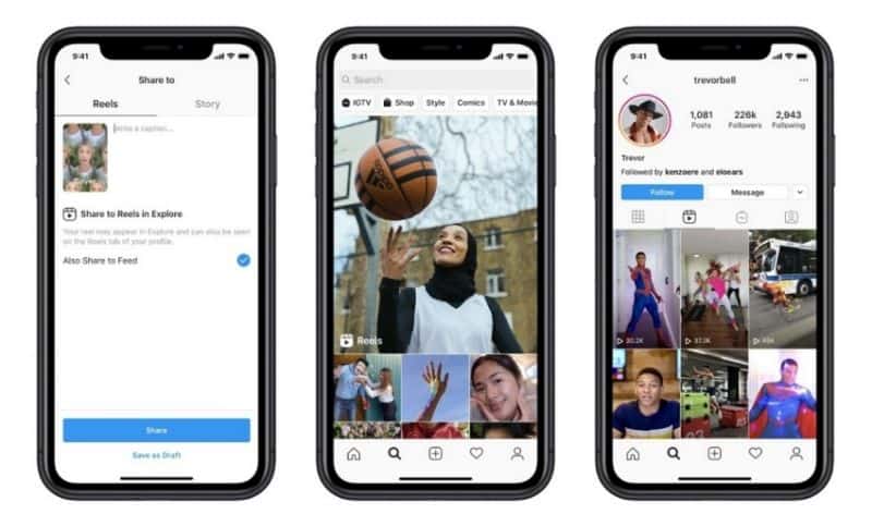 feed instagram la gi